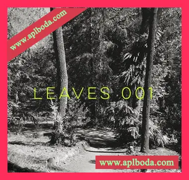 [Electronic电子乐采样]Drum and Lace Leaves 001 [WAV]（8Mb）