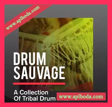 [部落鼓精选采样]Sonicycle Sonicycle – Drum Sauvage – A Collection Of Tribal Drum Hits [WAV]（22Mb）