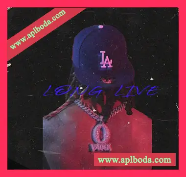 [Trap陷阱采样]Loops 4 Producers Long Live [WAV]（126Mb）