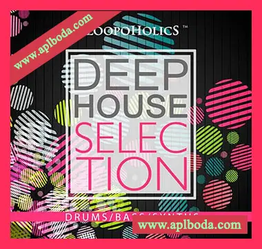 [Deep House采样]Loopoholics Deep House Selection [WAV]（259Mb）