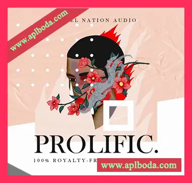 [嘻哈陷阱素材]Rebel Nation Audio Prolific [WAV, MiDi]（314Mb）