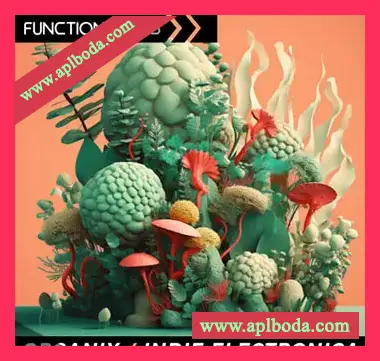 [电子乐采样]Function Loops Organix Indie Electronica [WAV]（316Mb）