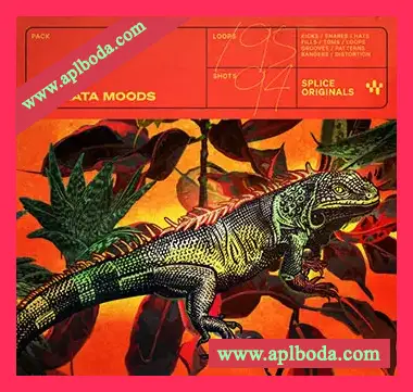 [拉丁乐采样]Splice Originals Bachata Moods [WAV]（570Mb）