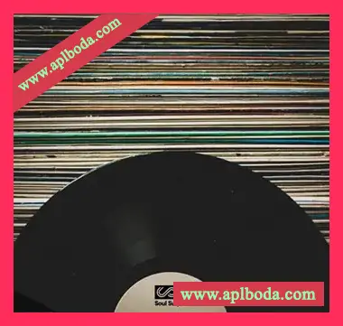 [灵魂RnB采样]Soul Surplus Vinyl Melodics [WAV]（138Mb）