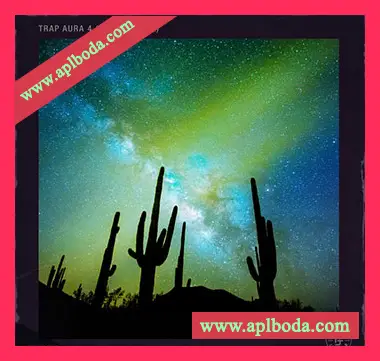 [氛围陷阱采样]Pelham And Junior Trap Aura Vol.4 (Compositions And Stems) [WAV]（658Mb）