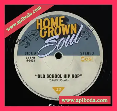 [灵魂RnB采样]Origin Sound Homegrown Soul [WAV]（664Mb）