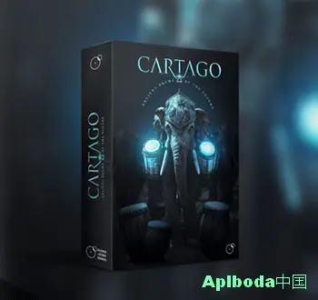 [电影打击乐音源]Silence+Other Sounds CARTAGO [KONTAKT]（7.94Gb）