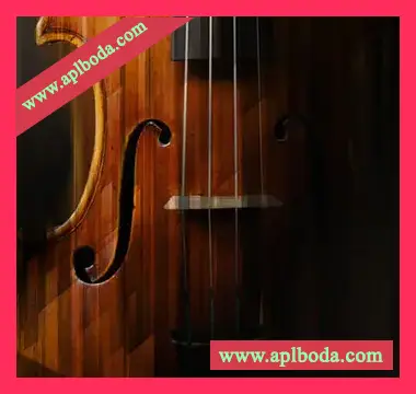 [小提琴音源]Native Instruments Stradivari Violin v1.0.0 [KONTAKT]（21.84Gb）
