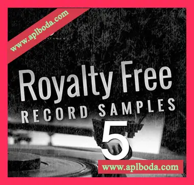 [灵魂RnB采样]Big Citi Loops Royalty-Free Record Samples Part 5 [WAV]（129Mb）