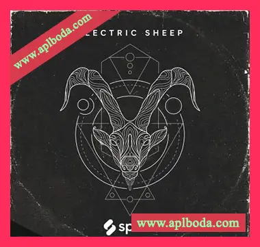 [流行拉丁休闲热带舞曲采样]Splice Originals Electric Sheep [WAV]（573Mb）