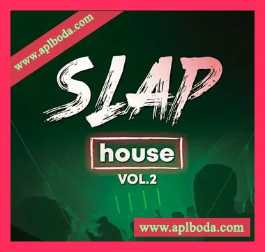 [SlapHouse素材Serum预置]Big Sounds Slap House Volume 2 [WAV, MiDi]（402Mb）