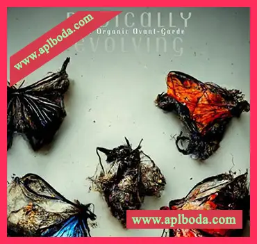 [影视乐采样]SampleTraxx Radically Evolving [WAV]（1.23Gb）