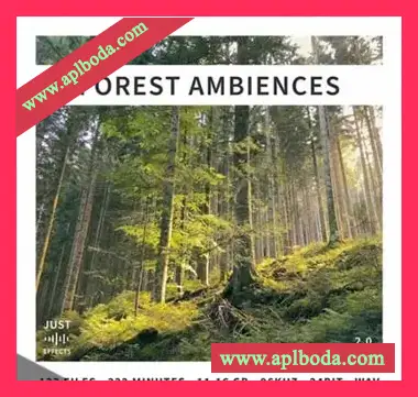 [森林氛围音效FX采样]Just Sound Effects Forest Ambiences [WAV]（7.68Gb）