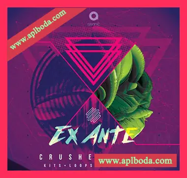 [Trap陷阱采样]Asonic Ex Ante [WAV]（467Mb）