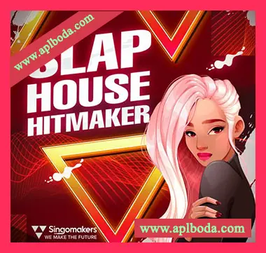 [浩室素材Serum预置]Singomakers Slap House Hitmaker [多格式]（899Mb）