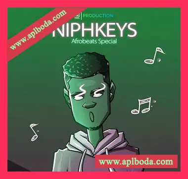 [非洲节奏采样Serum预置]Symphonic Production Niphkeys’ Afrobeats Special（372Mb）