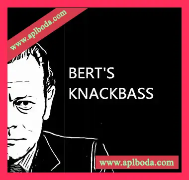 [贝斯音源]PastToFutureReverbs Bert’s Knackbass [KONTAKT]（169Mb）