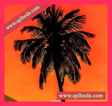[拉丁乐采样]Claro Beats Caliente Vol.7 [WAV]（233Mb）