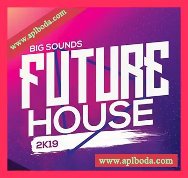 [深邃浩室Serum预设音色]Big Sounds Future House 2K19 [WAV, MiDi]（1.35Gb）
