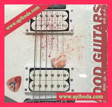 [RnB嘻哈吉他采样]Cartel Loops Mood Guitars [WAV]（96Mb）