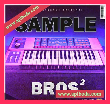 [流行嘻哈RNB采样]Trap Veterans Sample Bros 2 [WAV]（50Mb）