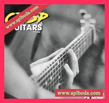 [氛围电吉他采样]New Beard Media Crisp Guitars Vol 1 [WAV]（81Mb）