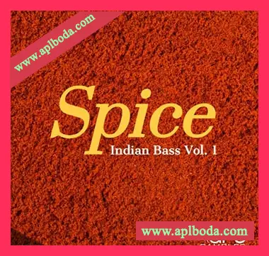 [EDM嘻哈说唱民族RnB采样]Arc Samples Spice Indian Bass Vol.1 [WAV]（354Mb）