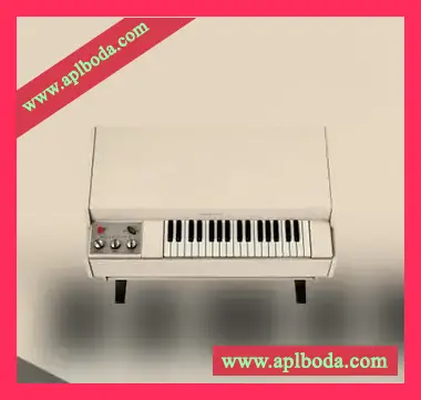 [磁带采样回放合成器]Arturia Mellotron V v1.1.0.3410 [MacOSX]（1.88Gb）