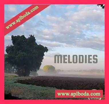 [影视嘻哈采样]Samples Choice Melodies [WAV]（165Mb）