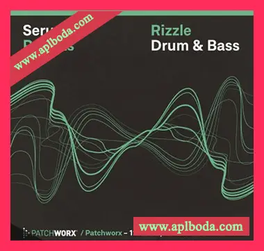 [鼓打贝斯素材Serum预置]Loopmasters Patchworx 123 Rizzle DnB Serum Presets [WAV, MiDi]（163Mb）