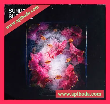 [灵魂电子RnB采样]Sunday Supply Frozen Bloom [WAV]（624Mb）