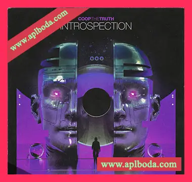 [怀旧乐采样]Coop The Truth Introspection (Compositions and Stems) [WAV]（379Mb）
