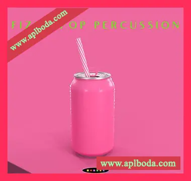 [流行电子舞曲采样]Rightsify Fizzy Pop Percussion [WAV]（98Mb）