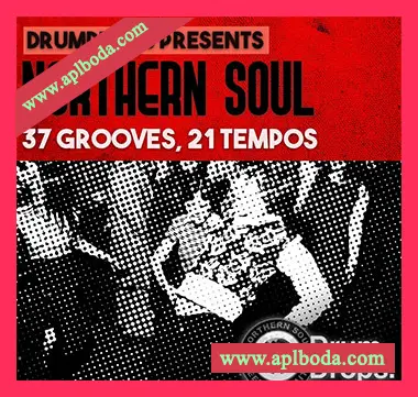[灵魂RnB鼓组采样]DrumDrops Northern Soul Loops Pack [WAV]（1.58Gb）