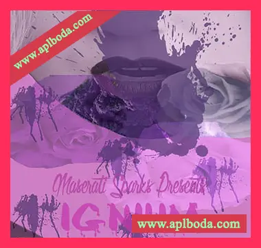 [氛围弛放采样]Maserati Sparks Ignium Library Vol.1 [WAV]（169Mb）