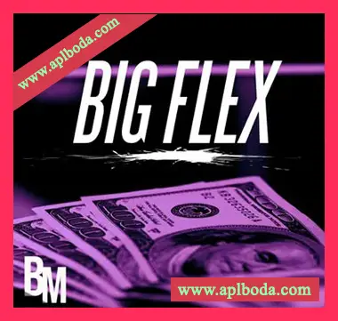[Trap陷阱采样]Beast Mode Big Flex [WAV]（44Mb）