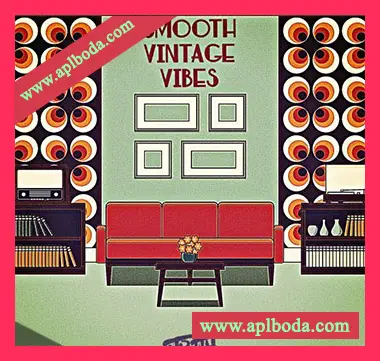 [嘻哈RnB采样]DJ 1Truth Smooth Vintage Vibes [WAV]（77Mb）