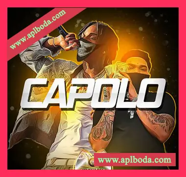 [流行灵魂氛围采样]Midi Moguls CAPOLO gold [WAV]（129Mb）
