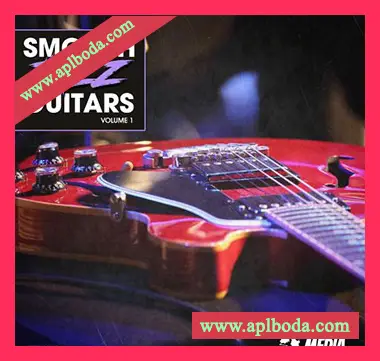 [爵士吉他采样]New Beard Media Smooth Jazz Guitars [WAV]（66Mb）