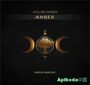 [三重连奏女声合唱音源]Musical Sampling Atelier Series Amber [KONTAKT]（1.27Gb）