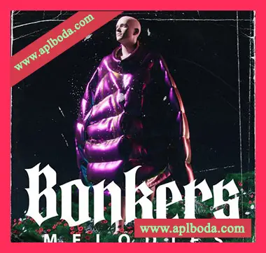 [嘻哈陷阱采样]Kits Kreme Bonkers Melodies [WAV]（46Mb）