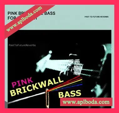 [贝斯音源]PastToFutureReverbs Pink Brickwall Bass For Kontakt! [KONTAKT]（163Mb）