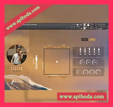 [独特Textural纹理小提琴音源]Inletaudio Kayvon Violin Intimate [KONTAKT]（11.7Gb）