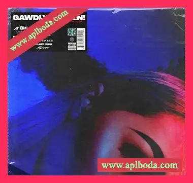 [嘻哈说唱采样]Gawdly Heaven! Soundpack [WAV]（611Mb）