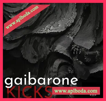 [前卫科技浩室底鼓采样]Gai Barone Kicks Vol.1 [WAV]（29Mb）