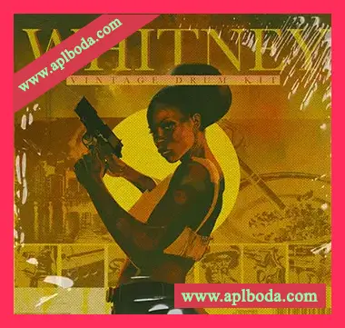 [嘻哈说唱鼓组采样]ProducerGrind WHITNEY Boom Bap Drum Kit [WAV]（6Mb）