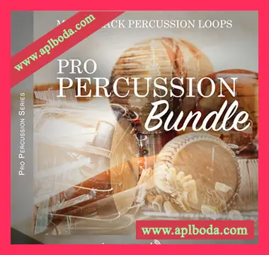 [综合鼓组打击乐LOOP采样]Image Sounds Pro Percussion Bundle [WAV]（23.2Gb）