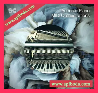 [MIDI管弦乐编曲钢琴素材]Sonic Collective Acoustic Piano and MIDI Orchestrations [WAV, MiDi]（166Mb）