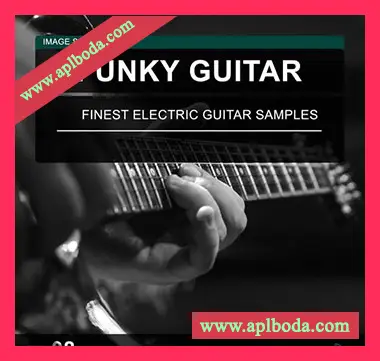 [流行放克吉他采样]Image Sounds Funky Guitar 08 [WAV]（8Mb）
