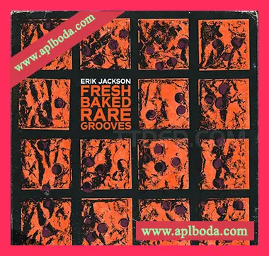 [Breakbeat嘻哈RnB节奏采样]Erik Jackson Fresh Baked Rare Grooves [WAV]（878Mb）